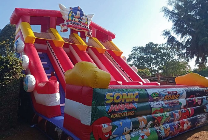 Gigantic Sonic The Hedgehog Theme Bouncy Dry Slide for Hire