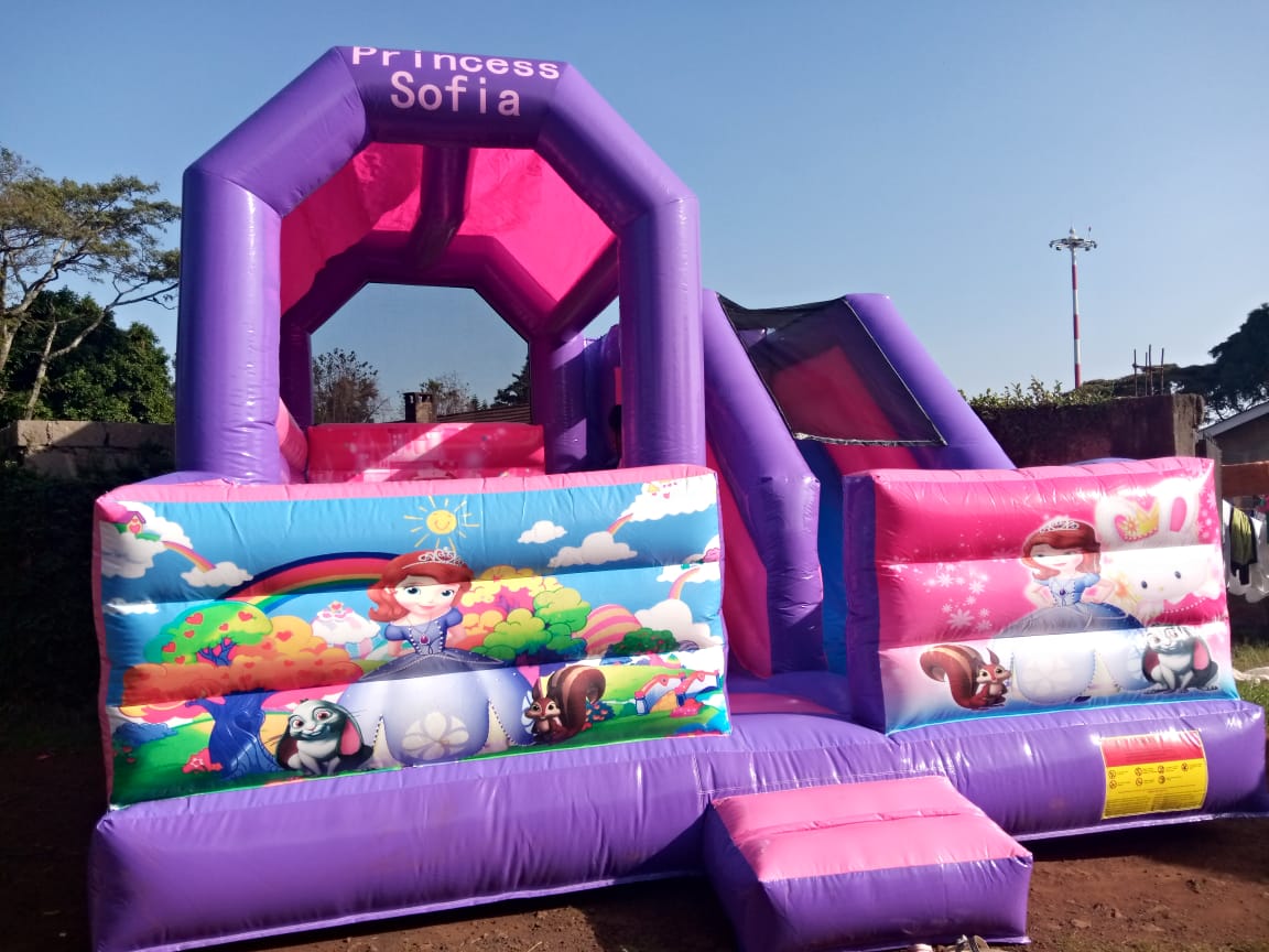 Sofia The First Bounce House for Hire