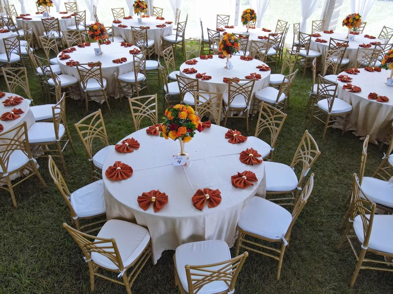 Botanical Baby Shower Theme Package Hire - 60 Guests - view 2