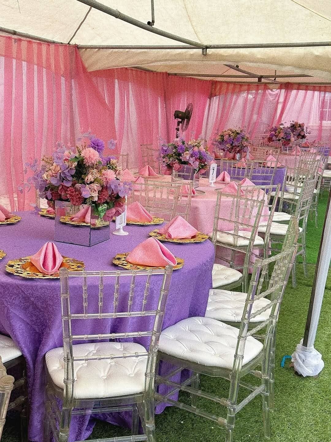 Gender Reveal Party Package Hire - 65 Guests - view 3