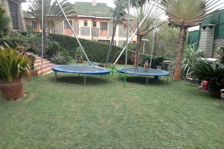 Star Jump (Bungee Trampoline) for Hire - view 1